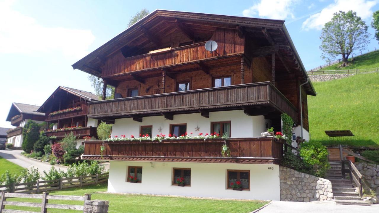 Апартаменты Haus Am Sunnfeld Альпбах Экстерьер фото